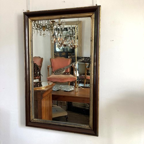 19Th Century Faux Wood And Gilt Mirror