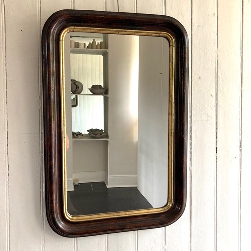 19Th Century Faux Wood & Gilt Mirror