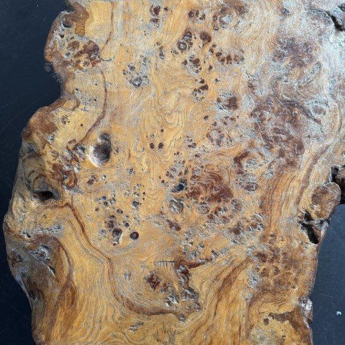 Burr Elm Coffee Table