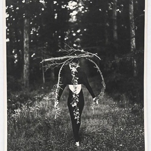 Original Photograph Of Model In The Woods By Bruce Weber 3