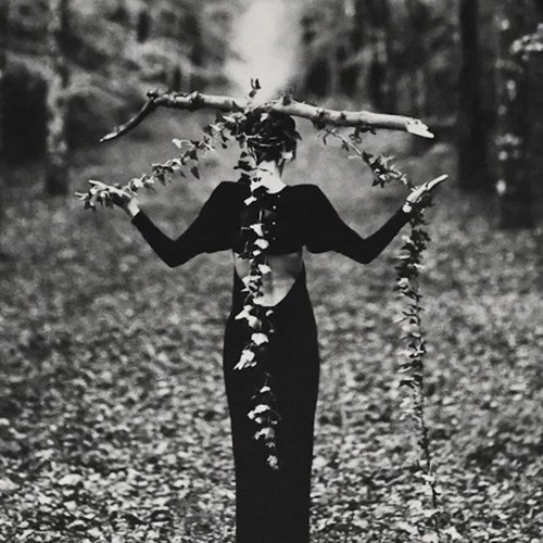 Original Photograph Of Model In The Woods By Bruce Weber 4
