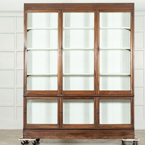 Large 19Thc English Oak & Mahogany Glazed Bookcase Cabinet