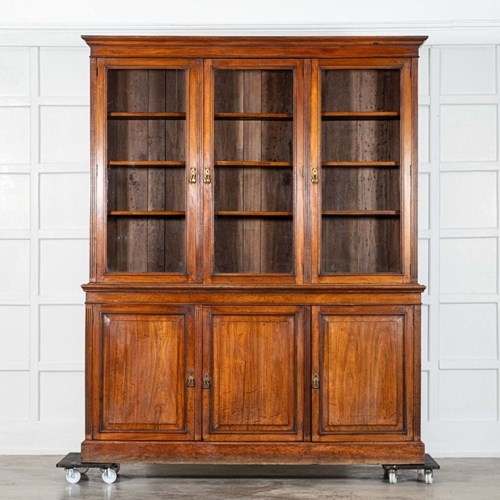 Large English 19Thc Glazed Walnut Library Bookcase