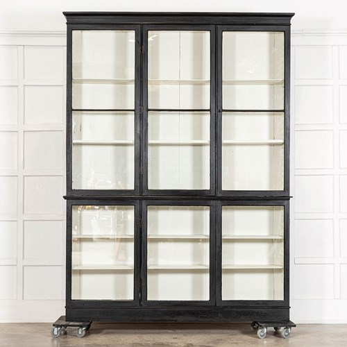Large 19Thc English Ebonised Pine Glazed Display Cabinet