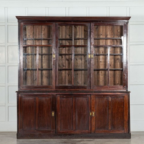 Large 19Thc English Mahogany & Pine Haberdashery Glazed Cabinet