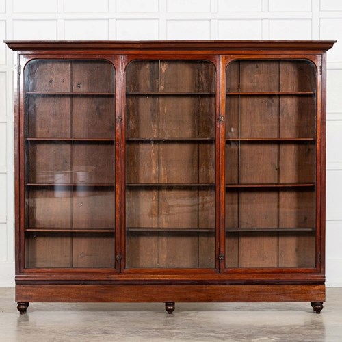 Large 19Thc English Mahogany Glazed Display Bookcase Cabinet
