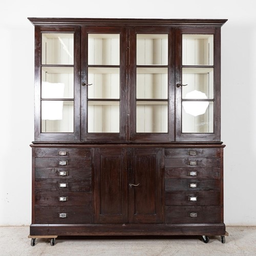 Large 19Thc Specimen Display Cabinet / Bookcase