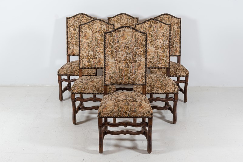 Set of 6 Os De Mouton Beech Tapestry Chairs-adam-lloyd-interiors-1-set6-french-os-de-mouton-tapestry-chairs-main-637625676698562997.jpg