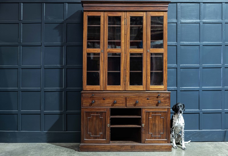 19thC Mahogany Glazed Secretaire Bookcase-adam-lloyd-interiors-19thc-mahogany-glazed-secretaire-bookcase-main-637455563547217154.jpg