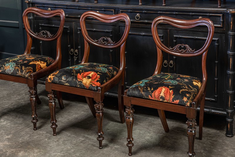 19thC Set of 6 Rosewood Dining Chairs-adam-lloyd-interiors-19thc-rosewood-balloon-back-dining-chairs1-main-637462141647461782.jpg