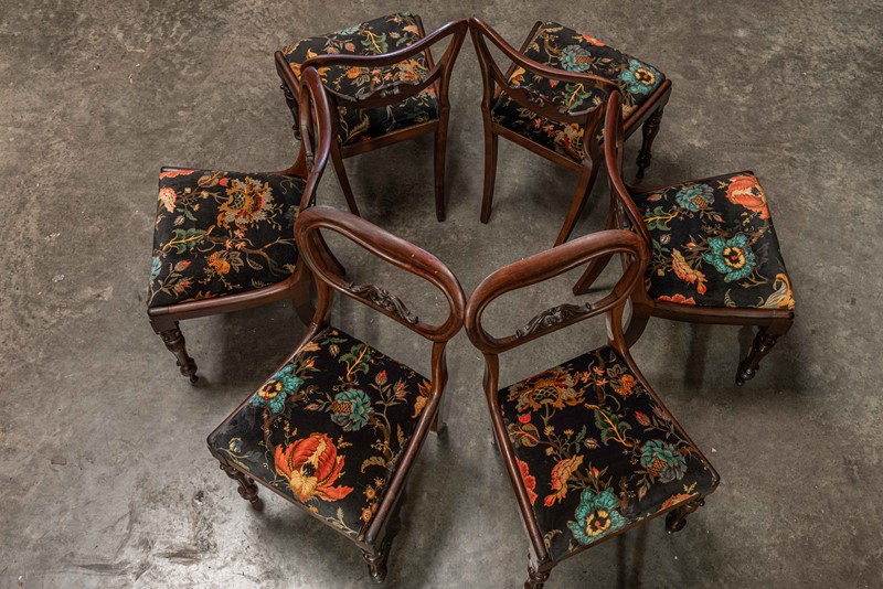 19thC Set of 6 Rosewood Dining Chairs-adam-lloyd-interiors-19thc-rosewood-balloon-back-dining-chairs9-main-637462141718243493.jpg