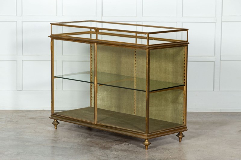19Thc English Bronze Shop Display Cabinet-adam-lloyd-interiors-2-3-main-638210889156419685.jpeg