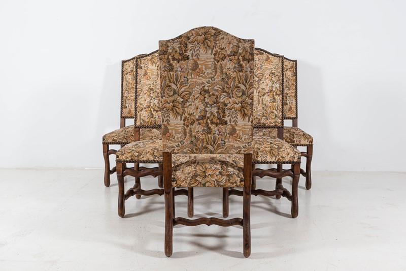 Set of 6 Os De Mouton Beech Tapestry Chairs-adam-lloyd-interiors-3-set6-french-os-de-mouton-tapestry-chairs3-main-637625676865749837.jpg