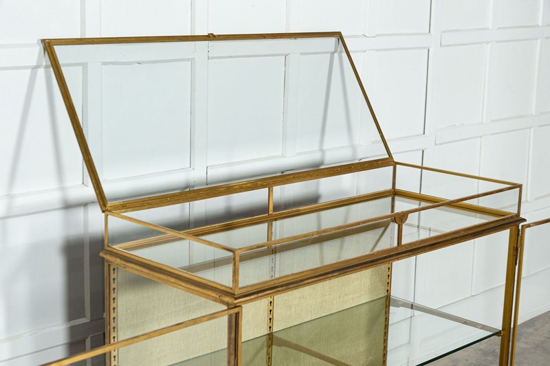 19Thc English Bronze Shop Display Cabinet-adam-lloyd-interiors-4-5-main-638210889197678582.jpeg