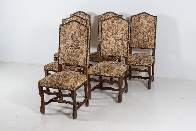 Set of 6 Os De Mouton Beech Tapestry Chairs-adam-lloyd-interiors-4-set6-french-os-de-mouton-tapestry-chairs11-main-637625676875124799.jpg