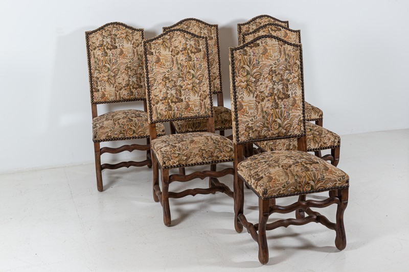 Set of 6 Os De Mouton Beech Tapestry Chairs-adam-lloyd-interiors-5-set6-french-os-de-mouton-tapestry-chairs10-main-637625676883874778.jpg