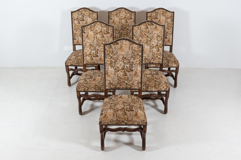 Set of 6 Os De Mouton Beech Tapestry Chairs-adam-lloyd-interiors-6-set6-french-os-de-mouton-tapestry-chairs1-main-637625676893250266.jpg