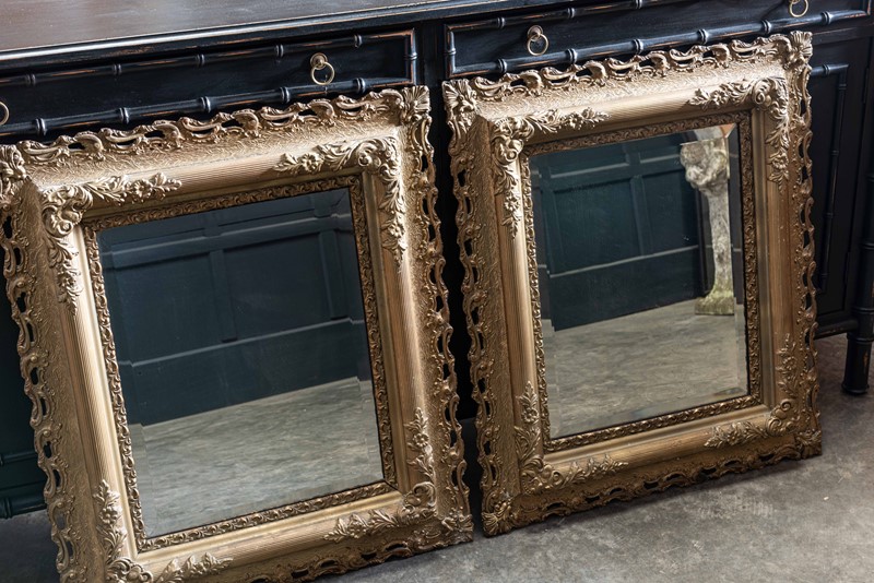 Pair Carved Giltwood & Plaster Mirrors-adam-lloyd-interiors-pair-19thc-carved-giltwood-mirrors14-main-637497831572056246.jpg