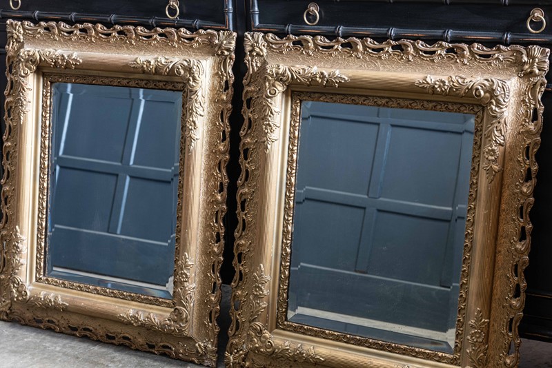 Pair Carved Giltwood & Plaster Mirrors-adam-lloyd-interiors-pair-19thc-carved-giltwood-mirrors2-main-637497831345962250.jpg