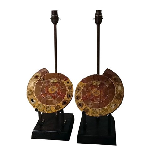 Pair Of Colourful Ammonite Lamps