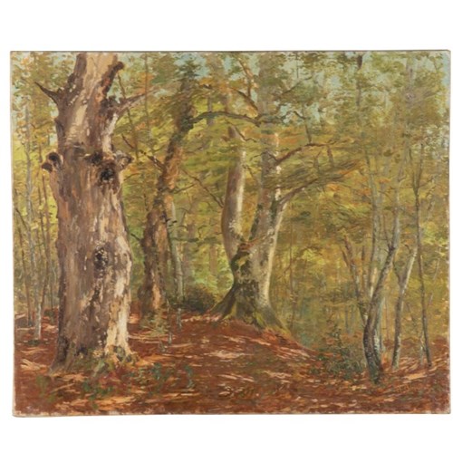 20Th Century French Oil On Canvas Painting 'Forest Landscape'