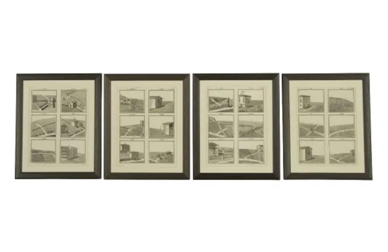 Set Of 17 Framed Engravings By Donegani-adps-antiques-3730-a-2-main-637158265629277444.png