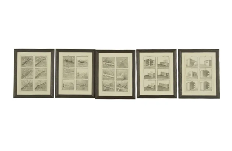 Set Of 17 Framed Engravings By Donegani-adps-antiques-3730-a-3-main-637158265626308899.png