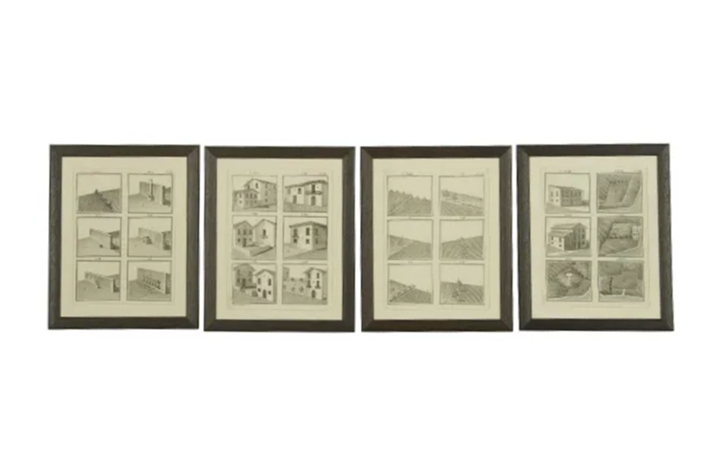 Set Of 17 Framed Engravings By Donegani-adps-antiques-3730-a-4-main-637158265623027495.png