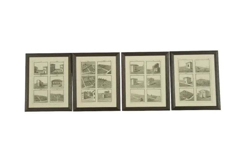 Set Of 17 Framed Engravings By Donegani-adps-antiques-3730-a-5-main-637158265619903206.png