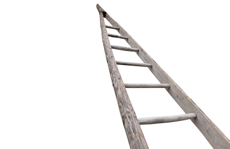 Very Tall French Orchard Ladder-adps-antiques-3737-6-main-637171277842047649.jpg