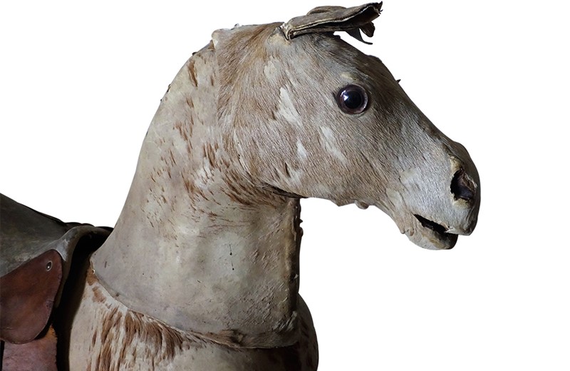 19th century french horse-adps-antiques-3982-2-main-637570973778042047.jpg