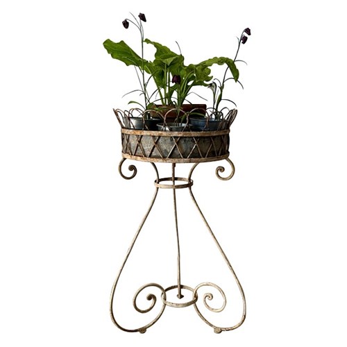 French Iron Wirework Plant Stand