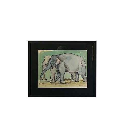 20Th Century French Circus Study Of Elephants 1949