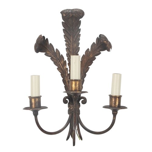 Plume Of Three Ostrich Feathers Wall Light