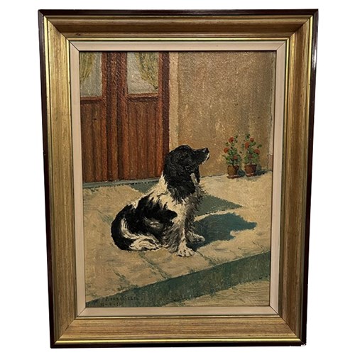 Framed Portrait Of A Spaniel Dog