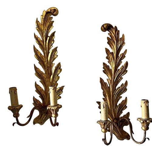 Pair Of Italian Giltwood Feather Plume Wall Lights