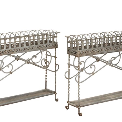 Pair Of 19Th Century French Orangery Plant Stands