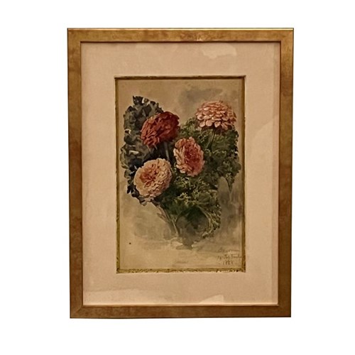 French Framed Watercolour Of Zinnia Blooms