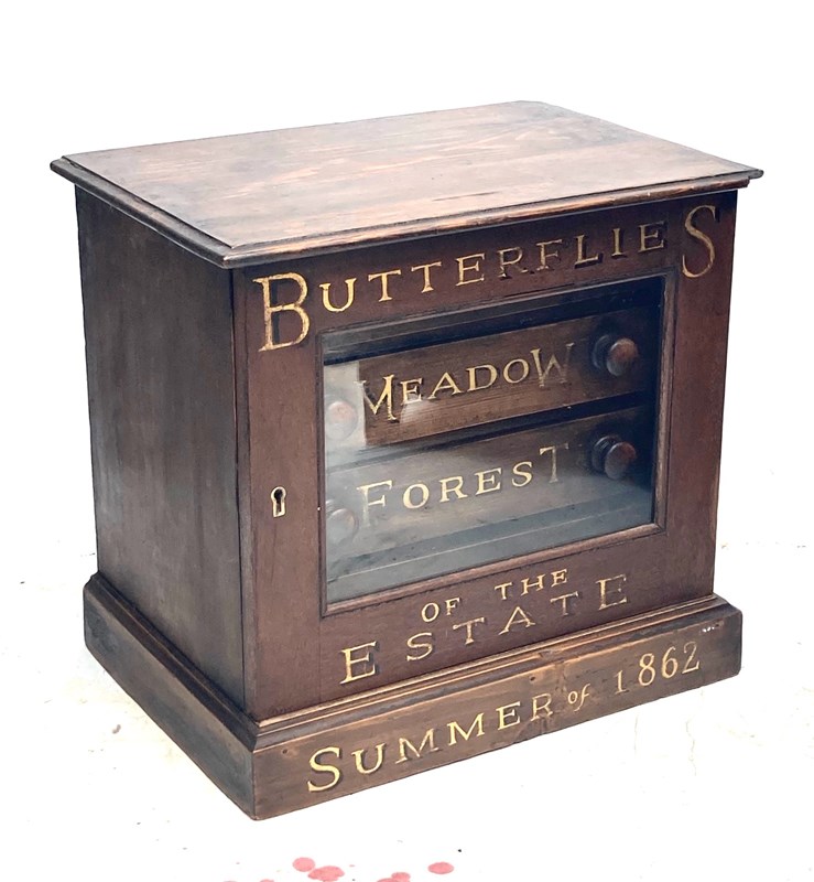  Butterfly Specimen' Cabinet From English Country Estate-aeology-at-relic-antiques-drawersc---2-main-638250264775141756.jpeg