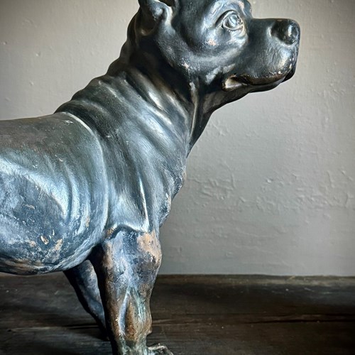 Terracotta Cane Corso, Late 18C, Italy