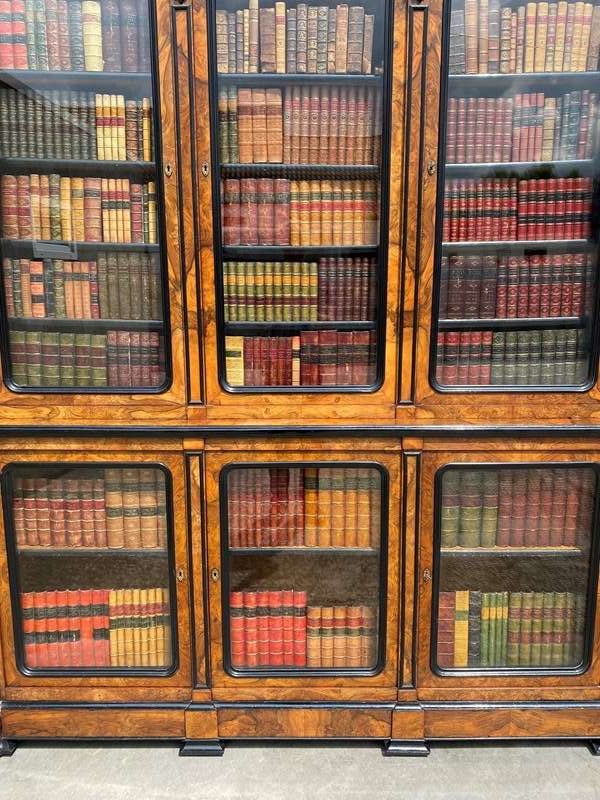 19Th C French Walnut & Ebony Library Bookcase-anthony-short-antiques-xbookcase-675-main-638255353062908361.JPG