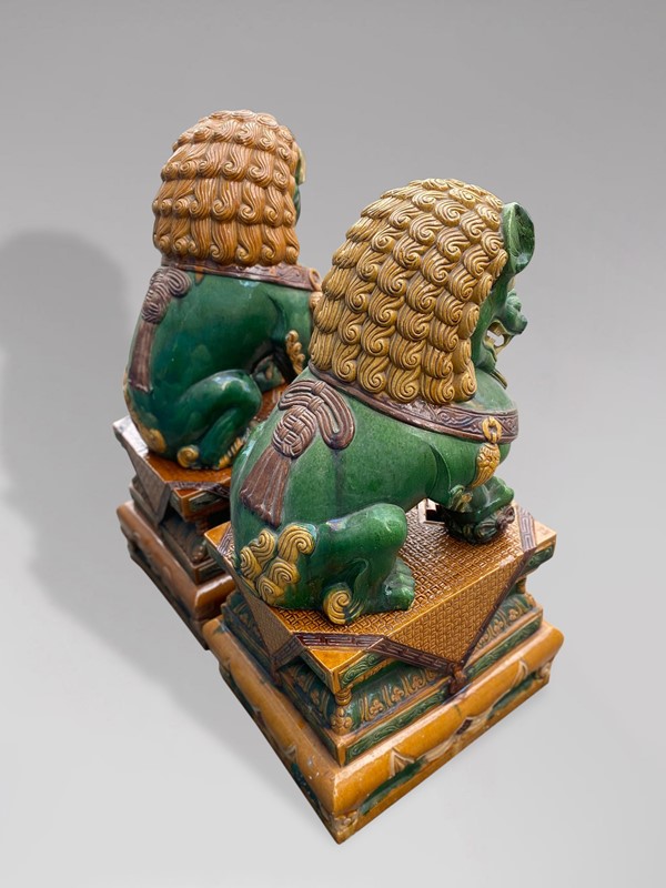 Pair of Large 20th C Oriental Ceramic Temple Lions-anthony-short-antiques-xmisc-913-main-637943472236884545.jpg