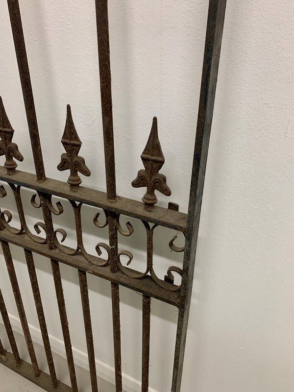 19Th C Reclaimed Architectural Cast Iron Gate-anthony-wilkinson-img-6588-main-638376487591036224.jpeg