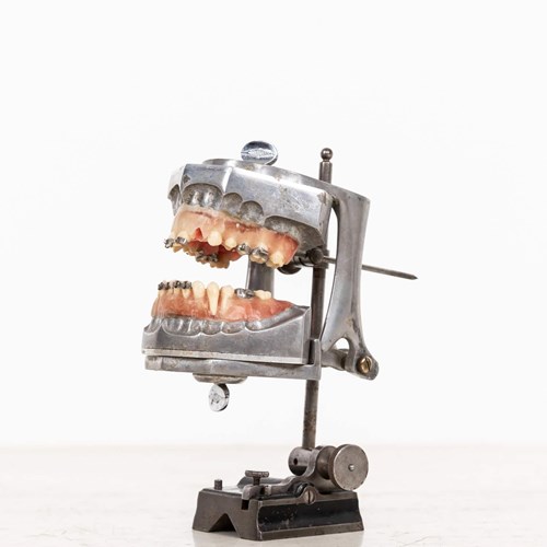 Antique Orthodonist's 'Phantom' Dental Teaching Aid