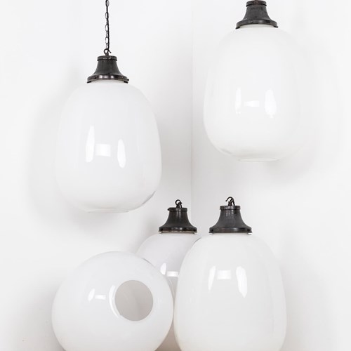 XXL Antique Tulip Opaline Glass Pendant Light