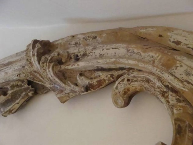18th Century Italian Scroll Carved Fragment-appley-hoare-18th-century-italian-scroll-carved-fragment-632_4.jpg