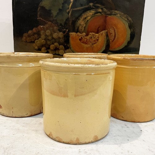 4 Large French 19Th C Yellow Jars - Circa 1880