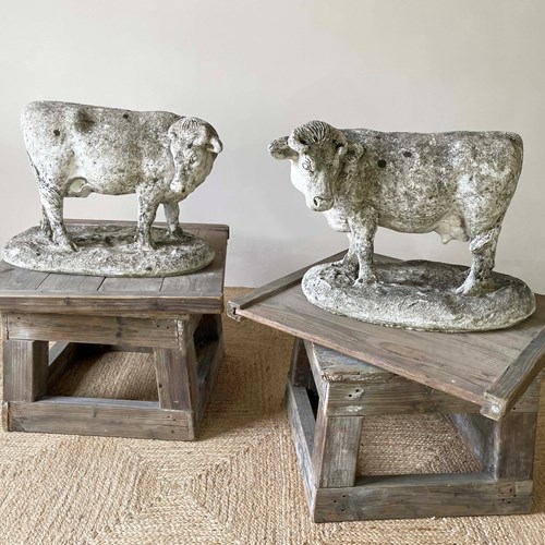 Pr. Early 20Th C French Stone Cows - C 1910