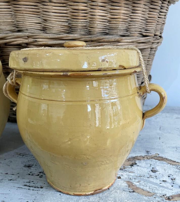 2 X Large 19Th C French Yellow Confit Pots With Lids-appley-hoare-largeliddedconfitjars1-main-638192424969796606.jpg