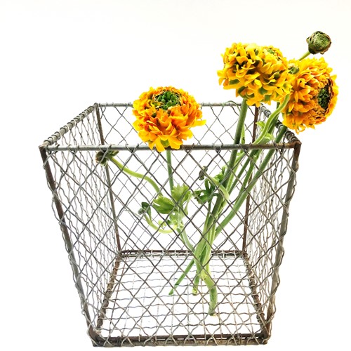 French Square Wire Basket - Circa 1940